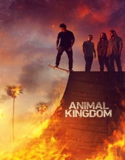 Animal Kingdom temporada  1 online