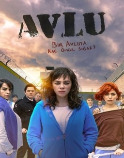 Avlu: El patio stream