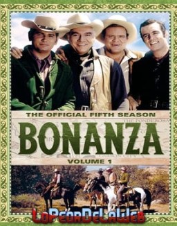 Bonanza T5