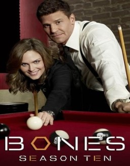 Bones temporada  10 online