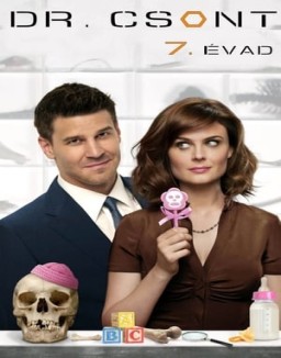 Bones temporada  7 online