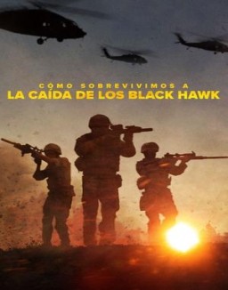 Cómo sobrevivimos a la caída de los Black Hawk online gratis