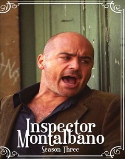 Comisario Montalbano stream