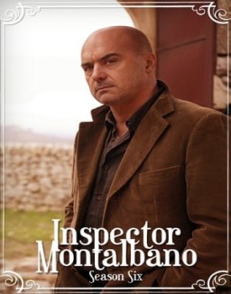 Comisario Montalbano temporada  6 online