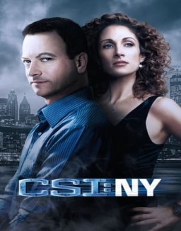 CSI: Nueva York temporada  1 online