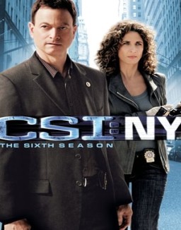 CSI: Nueva York temporada  6 online