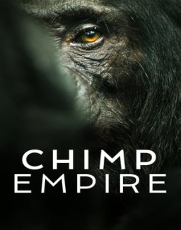 El imperio de los chimpancés stream