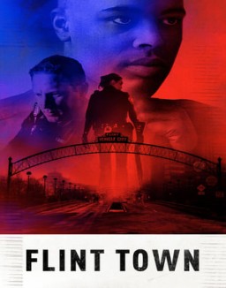 Flint Town online