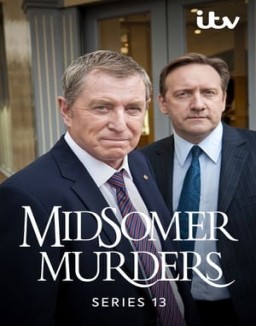 Los asesinatos de Midsomer temporada  13 online