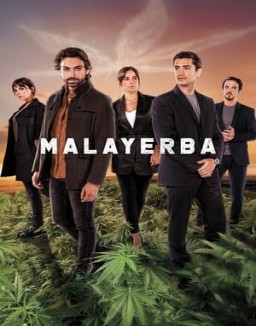 MalaYerba online gratis