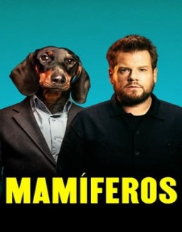 Mamíferos online