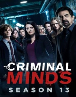 Mentes criminales T13