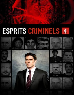 Mentes criminales temporada  4 online