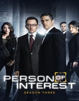 Vigilados, Person of Interest temporada  3 online